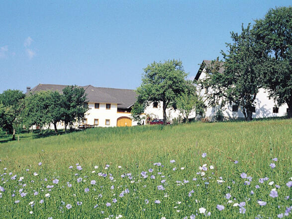 Urlaub am Bauernhof \"Nußbaumerhof\"