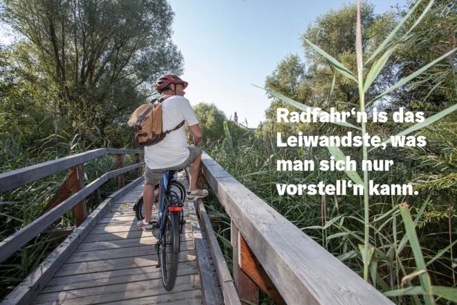 Die Natur entlang des Römerradweges genießen.