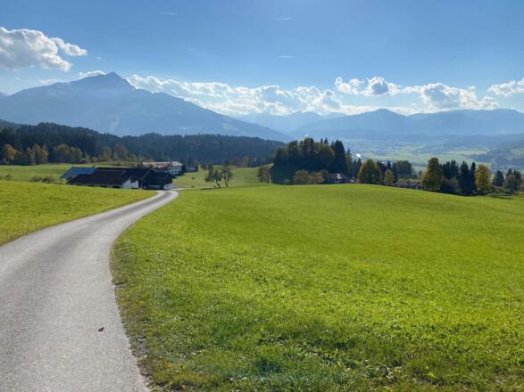 Kurz nach dem letzten Bauernhof mündet man in den Güterweg ein. Hinten das Kitzbüheler Horn.