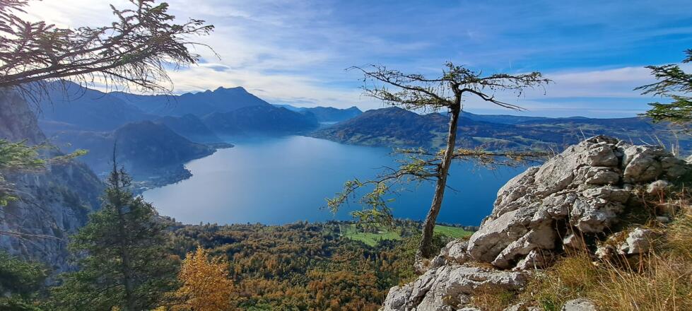 Attersee, Blickrichtung Schafberg