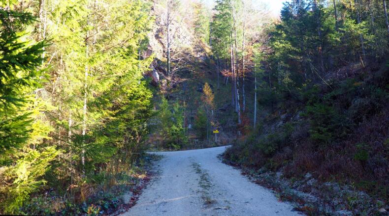 Wandermarkierung 811 (Tafel) nach links (Kehre) verlassen, Forstweg.