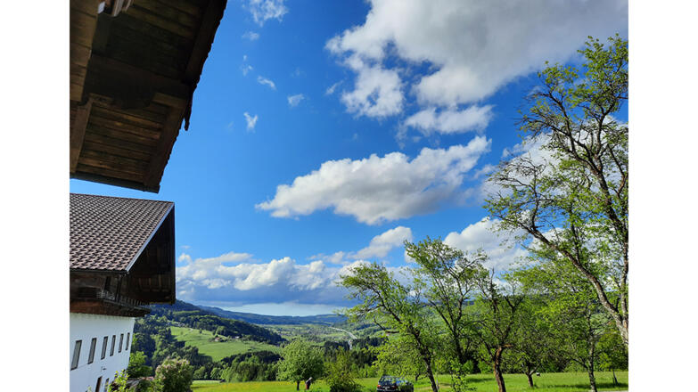 Ausblick