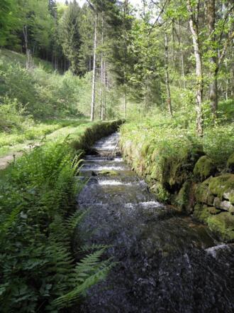 Steilstufe08StOswaldBeiHaslachHochformat_FerienregionBoehmerwaldPlank.jpg
