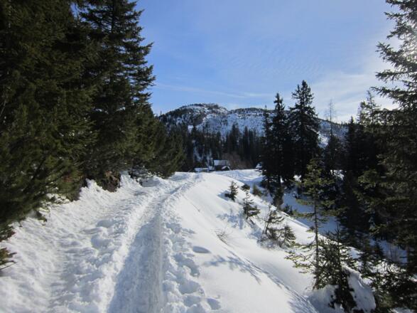 Schneeschuh- bzw. Skitour - Hütteneck in Bad Goisern am Hallstättersee