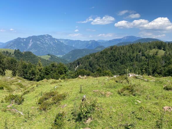 Aufgrund der großflächigen Almweiden ist die Region ab 1400 m waldfrei und deshalb auch sehr aussichtsreich.