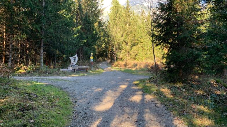 Weggabelung in den Wald Aktivrunde Münster