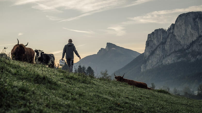 Landgasthof Hotel Aichingerwirt