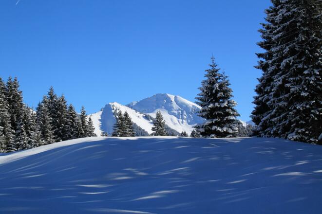 Ausblick auf die Hammerspitze