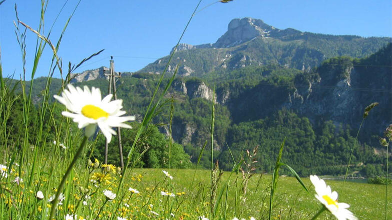 Landschaft