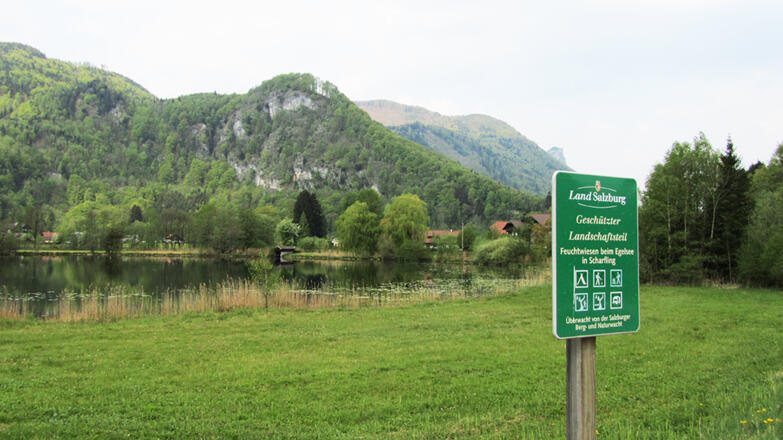 Naturschutzgebiet Egelsee in Scharfling