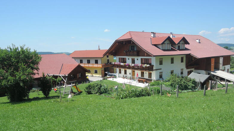 Bauernhof Dorfinger