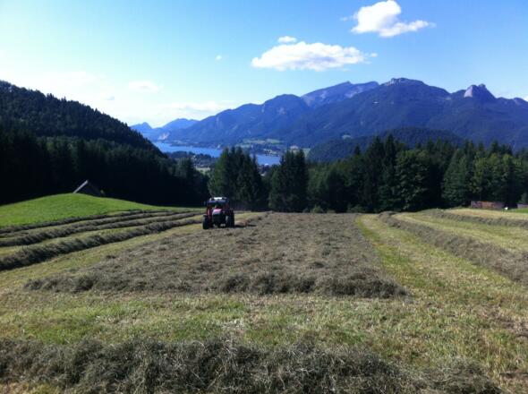 Arbeit am Feld