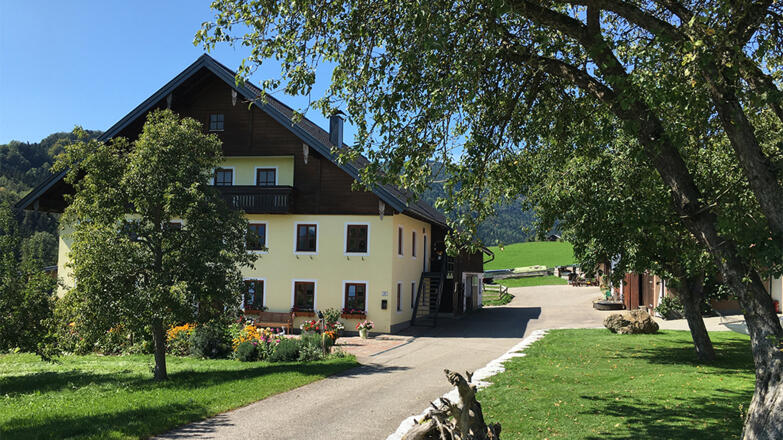 Ferienwohnung Radauer