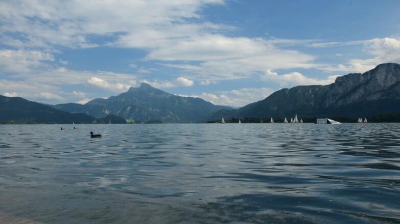 Mondsee mit Schafberg