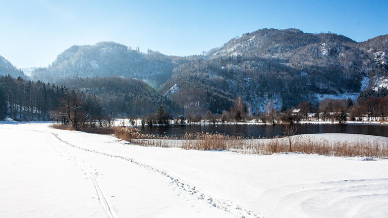 Naturschutzgebiet Egelsee in Scharfling im Winter