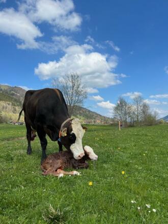 Mama und Sohn
