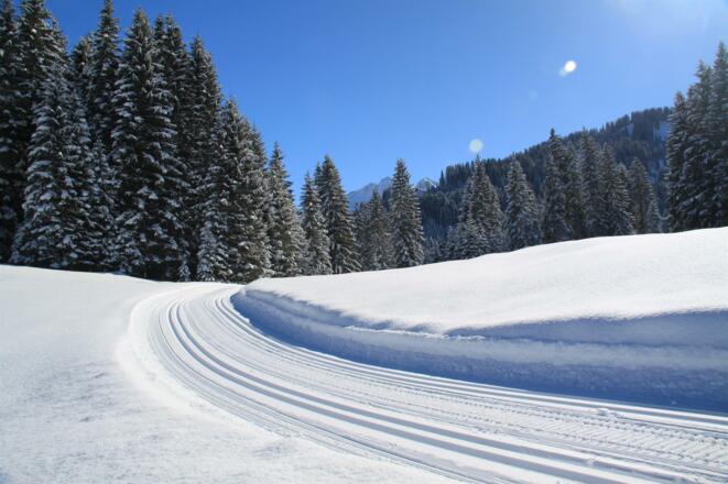 Langlaufloipe im Wäldele