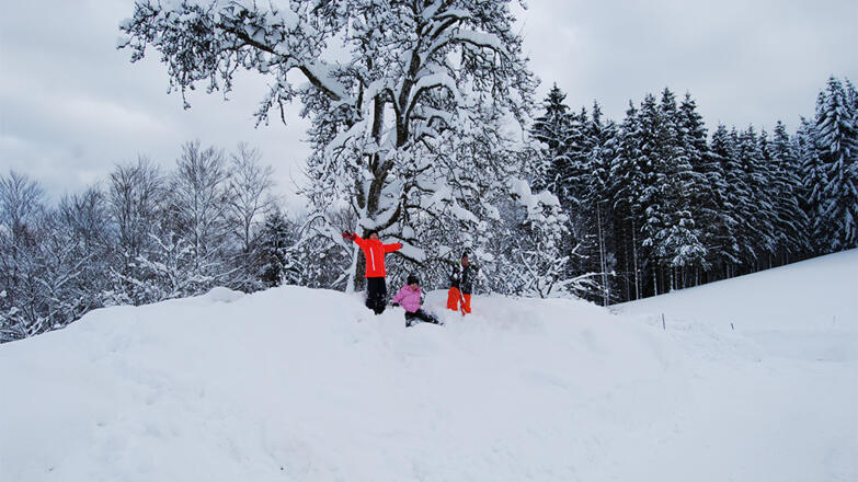 Winter Kulm