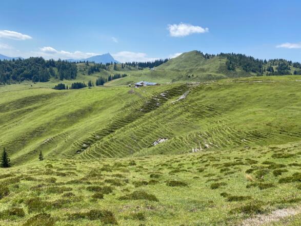 Almen und Almwiesen prägen die Landschaft.