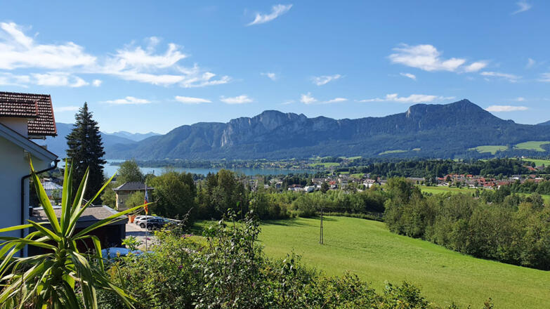 Ausblick