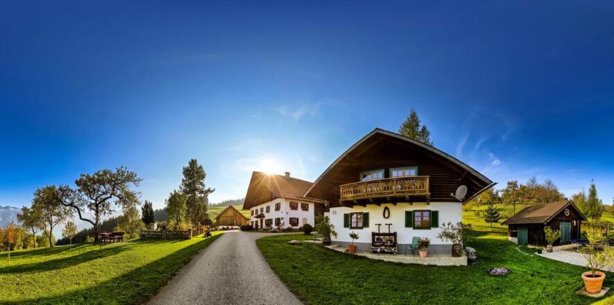 Knabenkraut am Margarethengut