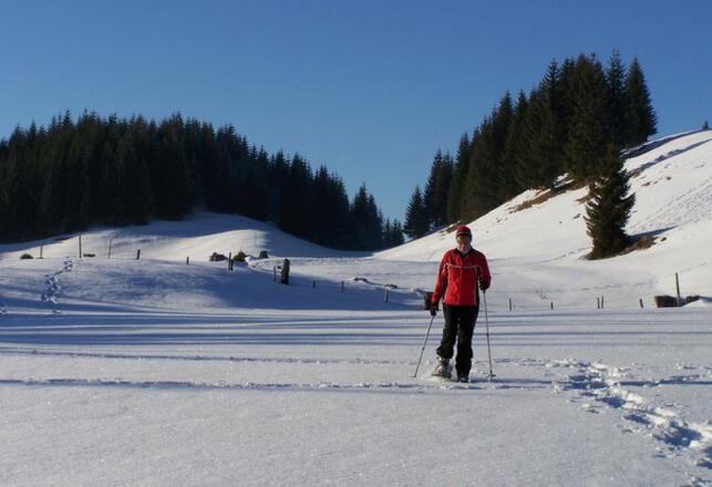 Beim Schneeschuh wandern