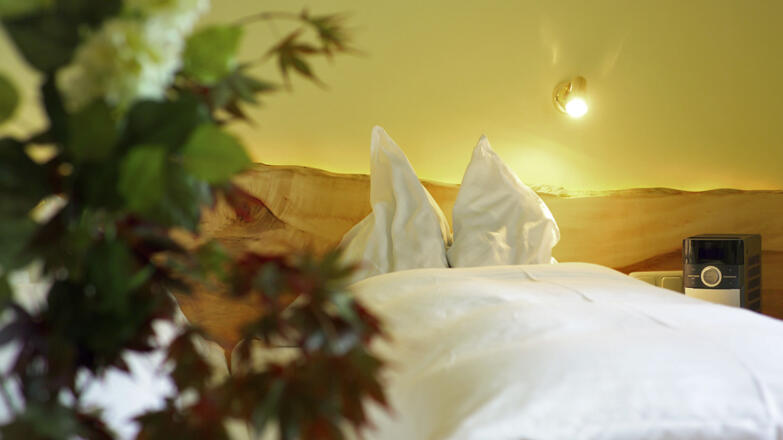 Wohlfuehlzimmer Hotel Ragginger Nußdorf am Attersee