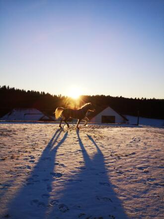 Winterreiten