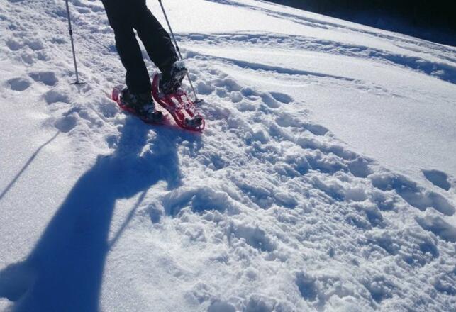 Beim Schneeschuh wandern