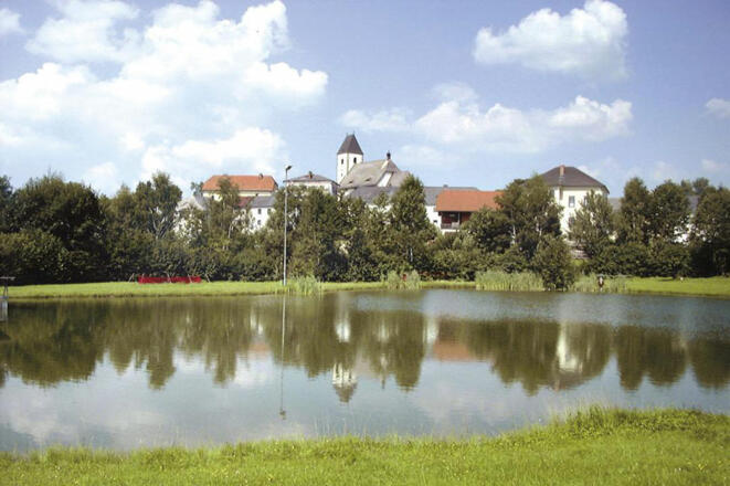 Freiwaldbadeteich Grünbach