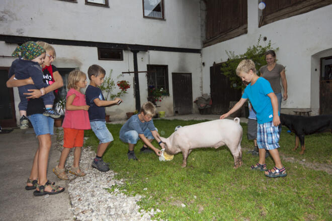 Ferienspass am Bauernhof Kirchbichl
