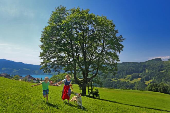 A schens Platzl, Naturpark Attersee-Traunsee