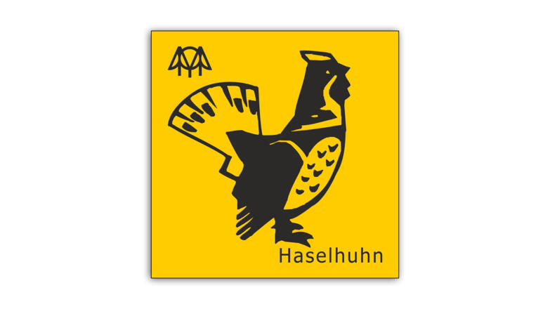 Haselhuhn
