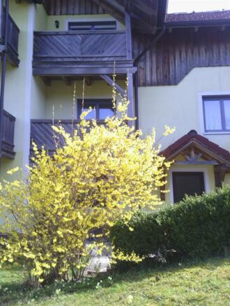 Frühling