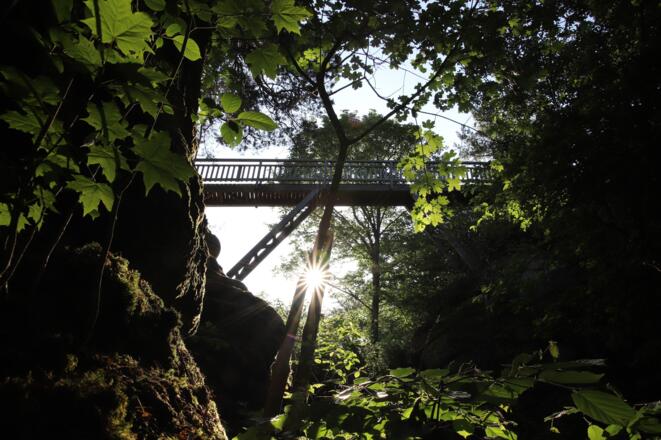 Holzbrücke am Rundweg der Ruine Prandegg