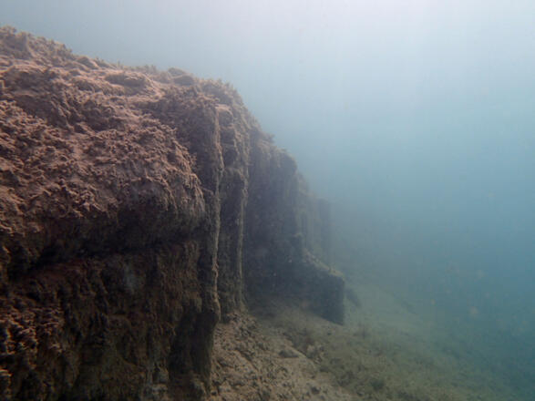 Pfahlbau unter Wasser - Station Seewalchen 1