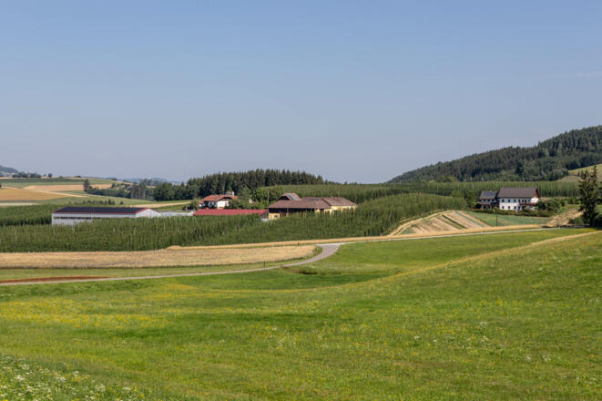 Betrieb inmitten von Hopfenfeldern