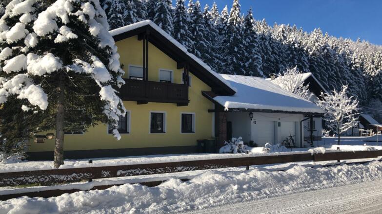 Apartments Winkler - Winter