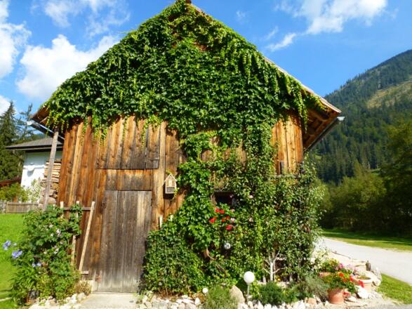 Holzhütte mit Wein