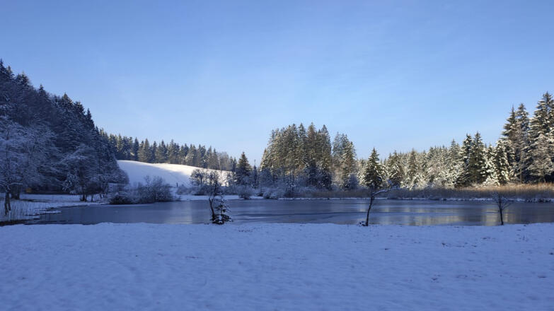 2020-Winterbilder-Egelsee-CarolinH%c3%a4upl1bearbeitet