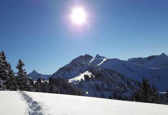 Winterwandern