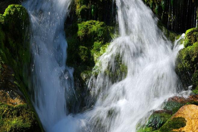 Dachserfall in Abtenau Au