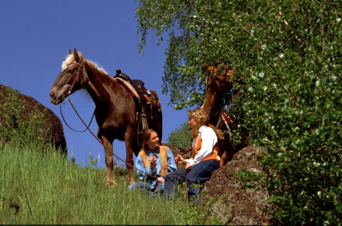 Reitpark Gstöttner