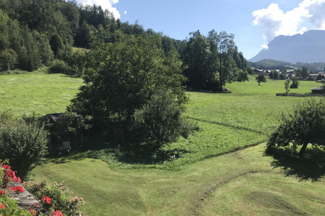 Panoramablick in den Garten