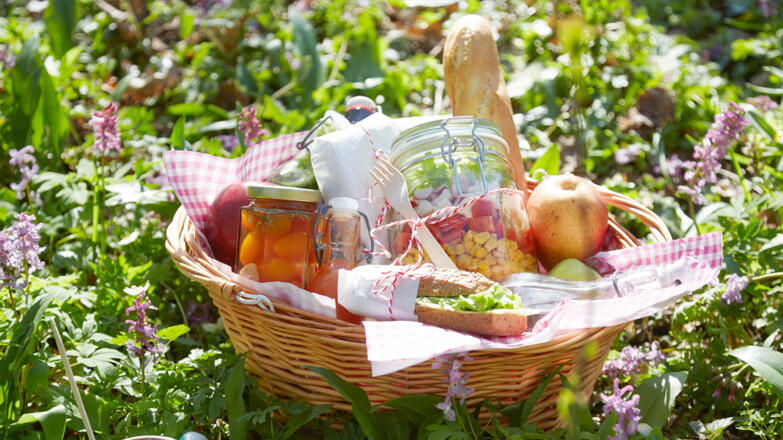 Waldpicknick, Naturpark Attersee-Traunsee