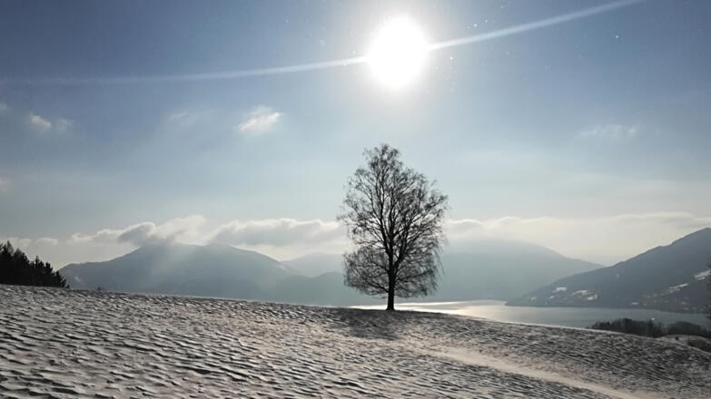Winter 2, Naturpark Attersee-Traunsee