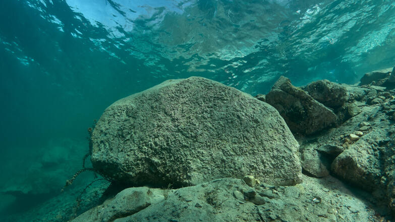 2018-tauchen-schwarze-bruecke-thorsten-neumeier