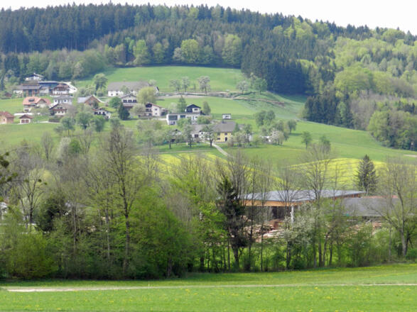Atelier am Walde