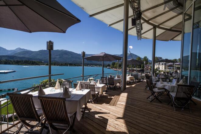 Scalaria | Sunset Wing Club