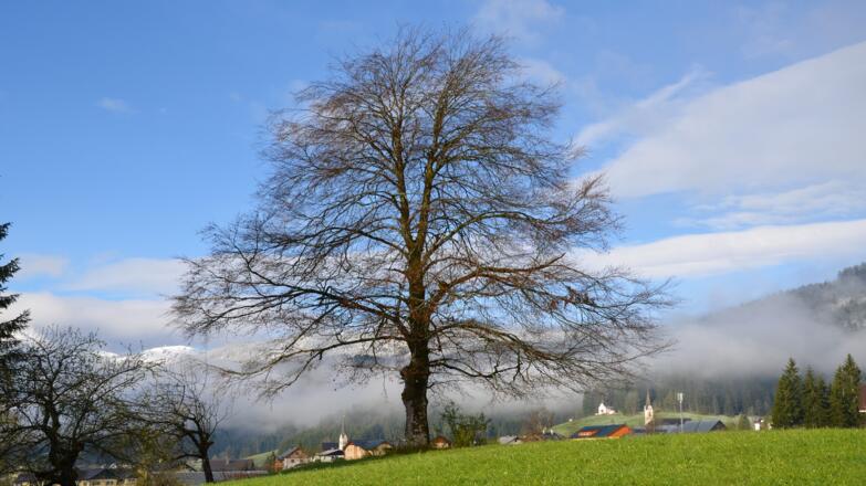 Ausblick